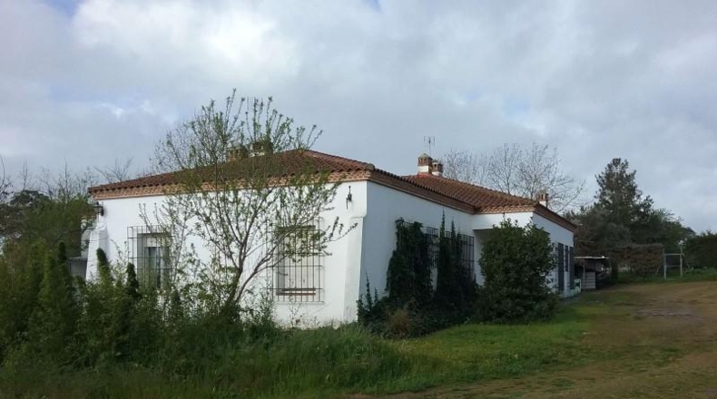 Badajoz - Badajoz - 18000m2
