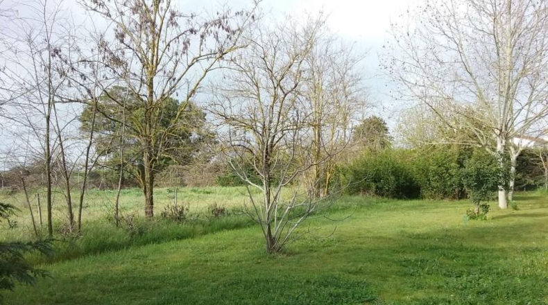 Badajoz - Badajoz - 18000m2