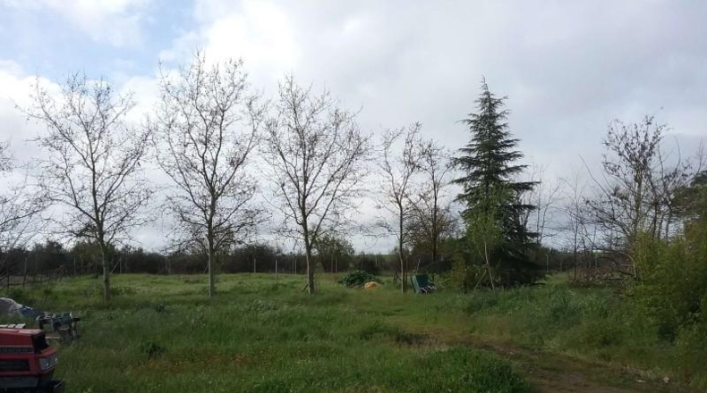 Badajoz - Badajoz - 18000m2