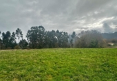 Finca rústica en venda a la España, Ribadesella, ref.: TR371500 foto