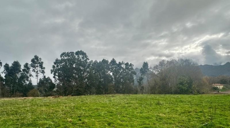 Asturias - Ribadesella - 4586m2