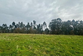 Ribadesella 4586&nbsp;m² 