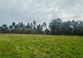 Finca rústica en venda a la España, Ribadesella, ref.: TR371500 foto