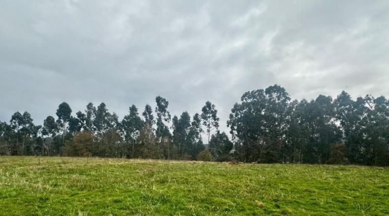 Asturias - Ribadesella - 4586m2