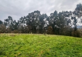 Finca rústica en venda a la España, Ribadesella, ref.: TR371500 foto