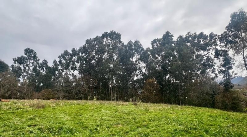 Asturias - Ribadesella - 4586m2