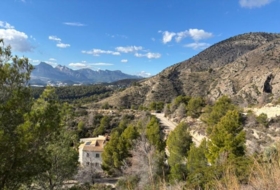 Foto 12