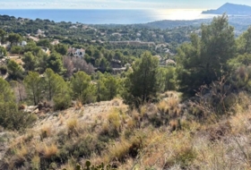 Foto 13