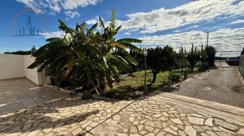 Murcia - Cartagena - 2800m2