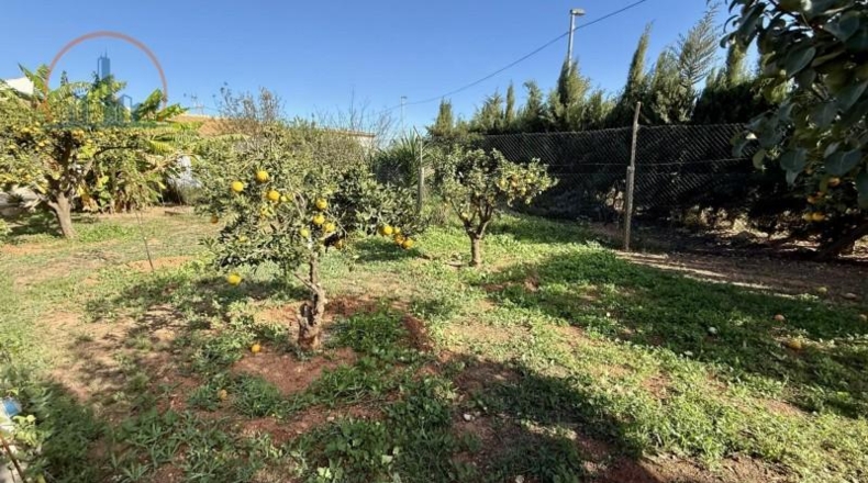 Murcia - Cartagena - 2800m2