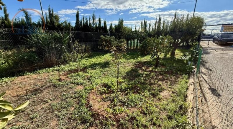 Murcia - Cartagena - 2800m2