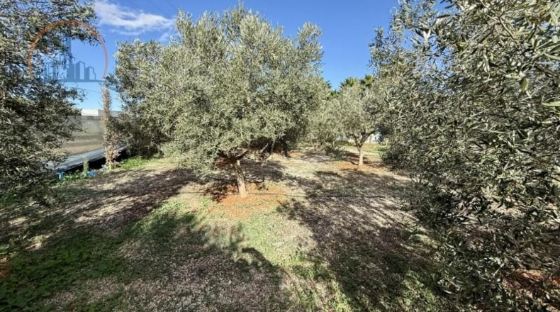 Murcia - Cartagena - 2800m2