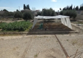 Xalet independent amb terreny en venda a la España, Alguazas, ref.: TR315833 foto