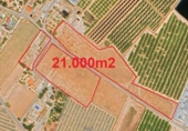 Casa de camp amb terreny en venda a la España, San Javier, ref.: TR288018 foto