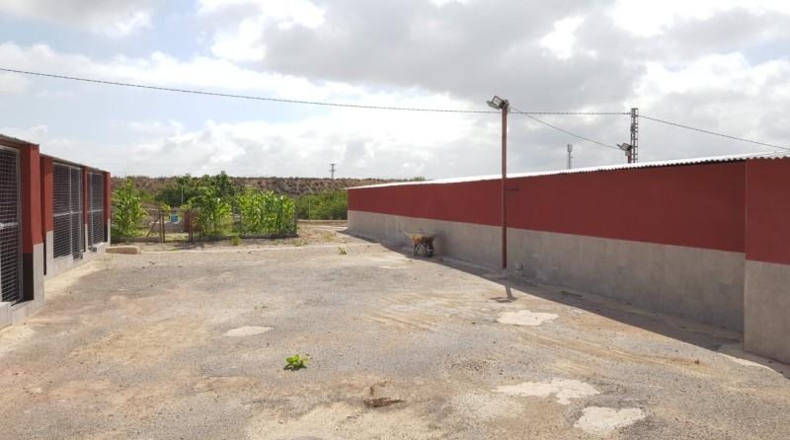 Alicante - Los Montesinos - 27000m2