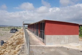 Foto 14