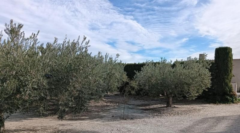 Murcia - Puerto Lumbreras - 51890m2