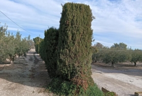 Foto 14