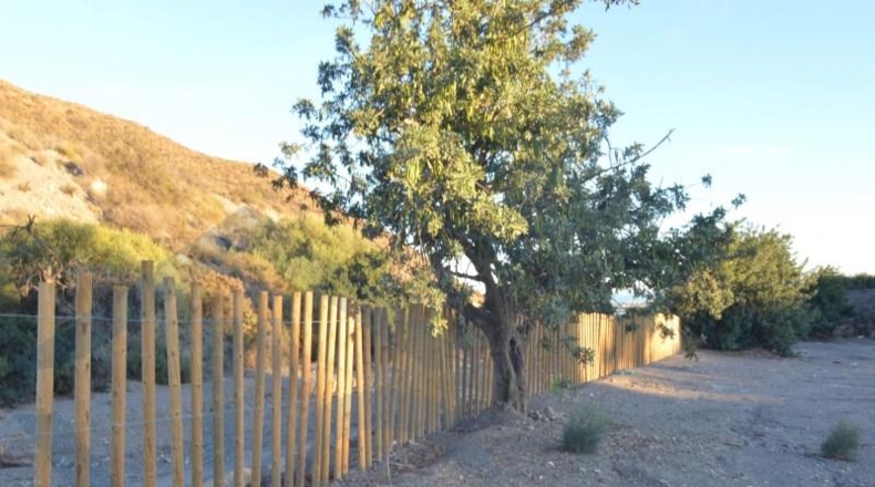 Murcia - Águilas - 24000m2