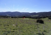Casa amb terreny en venda a la España, Cortes de la Frontera, ref.: TR298561 foto