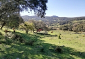 Casa amb terreny en venda a la España, Cortes de la Frontera, ref.: TR298561 foto