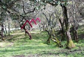 Cortes de la Frontera 170043&nbsp;m² 