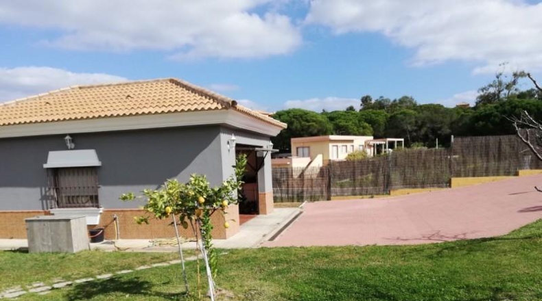 Huelva - Lepe - 1175m2