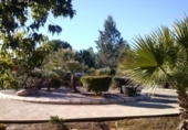 Xalet independent amb terreny en venda a la España, Navarrés, ref.: TR145915 foto