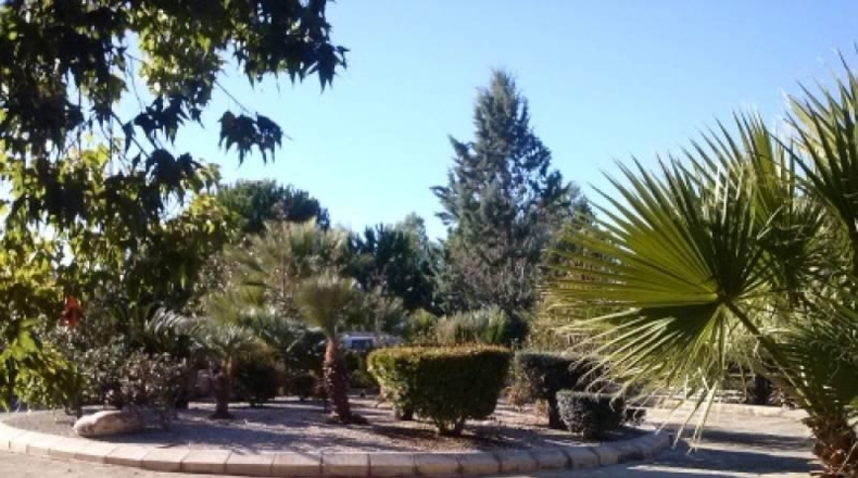 Valencia - Navarrés - 16000m2