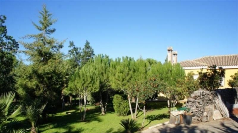 Valencia - Navarrés - 16000m2