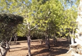 Foto 14