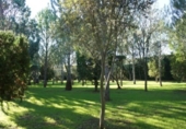Xalet independent amb terreny en venda a la España, Navarrés, ref.: TR145915 foto