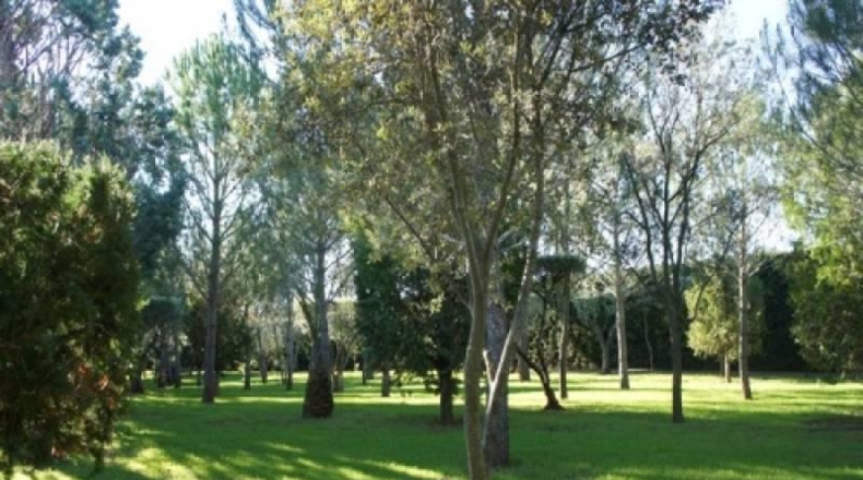 Valencia - Navarrés - 16000m2