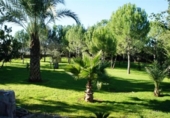 Xalet independent amb terreny en venda a la España, Navarrés, ref.: TR145915 foto