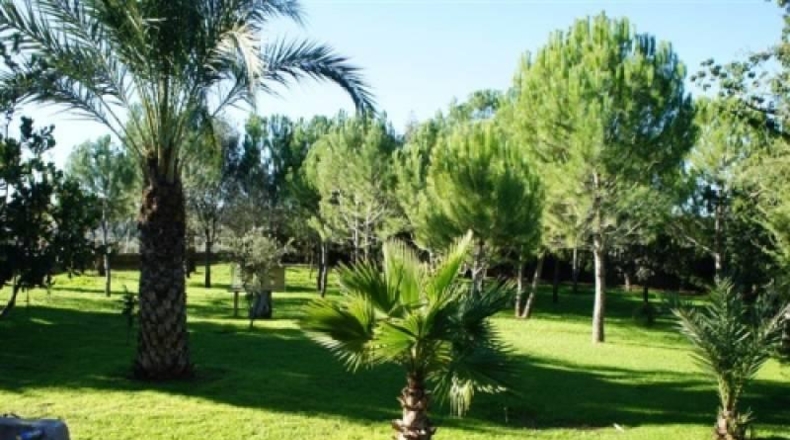 Valencia - Navarrés - 16000m2