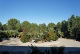 Foto 19