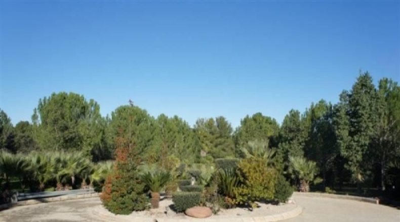 Valencia - Navarrés - 16000m2