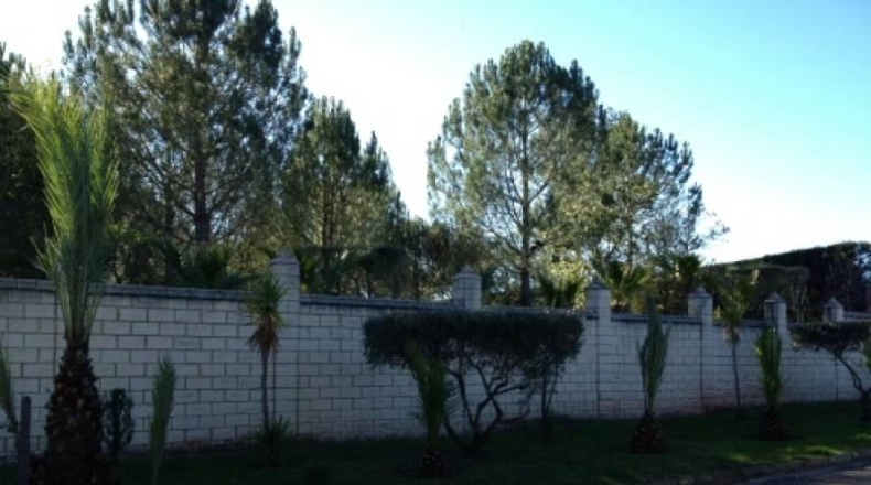 Valencia - Navarrés - 16000m2