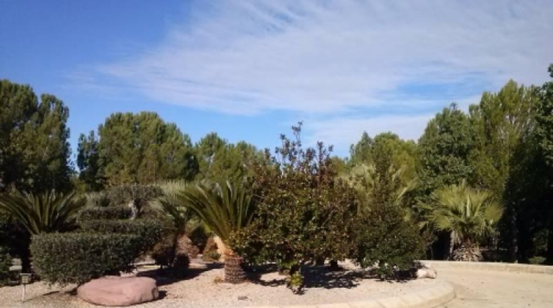 Valencia - Navarrés - 16000m2