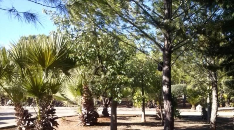 Valencia - Navarrés - 16000m2