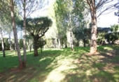 Xalet independent amb terreny en venda a la España, Navarrés, ref.: TR145915 foto