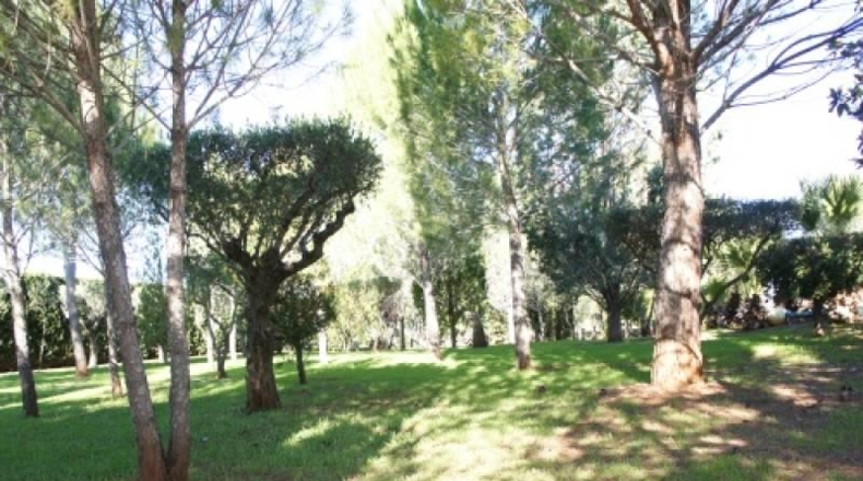Valencia - Navarrés - 16000m2