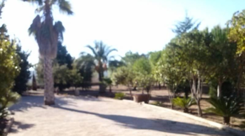 Valencia - Navarrés - 16000m2
