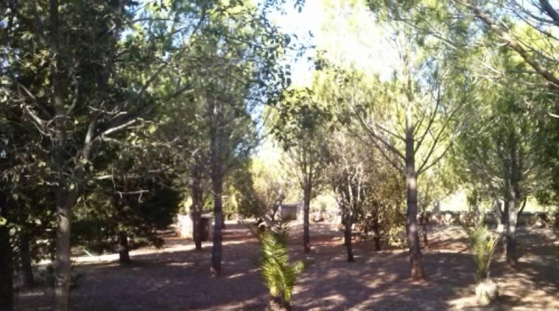 Valencia - Navarrés - 16000m2