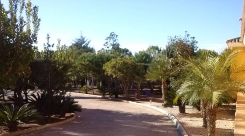 Valencia - Navarrés - 16000m2