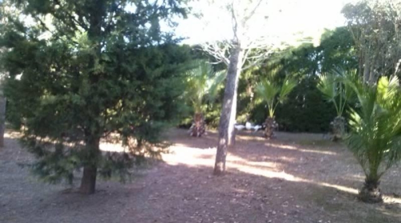 Valencia - Navarrés - 16000m2