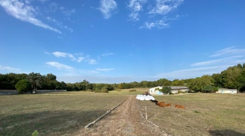 Orense - Amoeiro - 31000m2