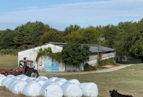 Foto 10