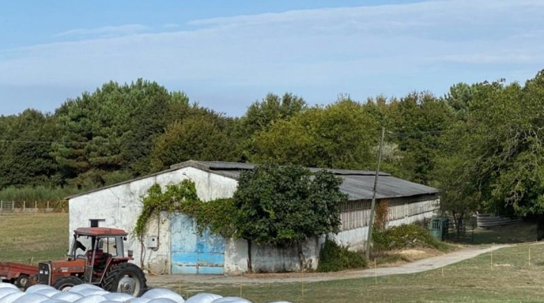 Orense - Amoeiro - 31000m2