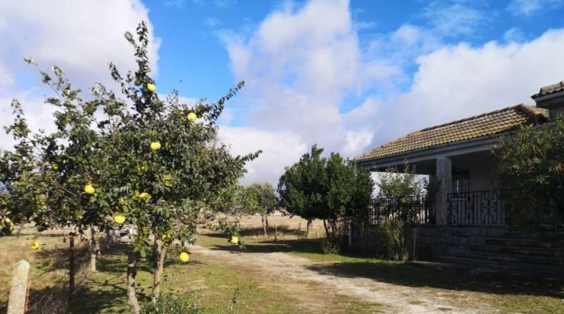 Salamanca - Vitigudino - 17000m2